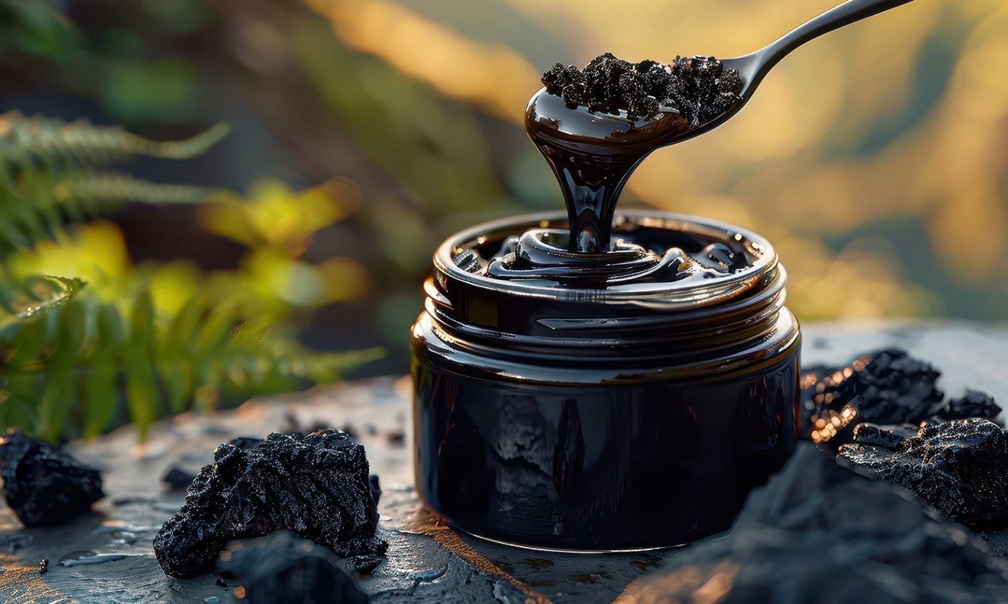 Benefits of Shilajit Resin for Energy, Immunity & Hormonal Balance
