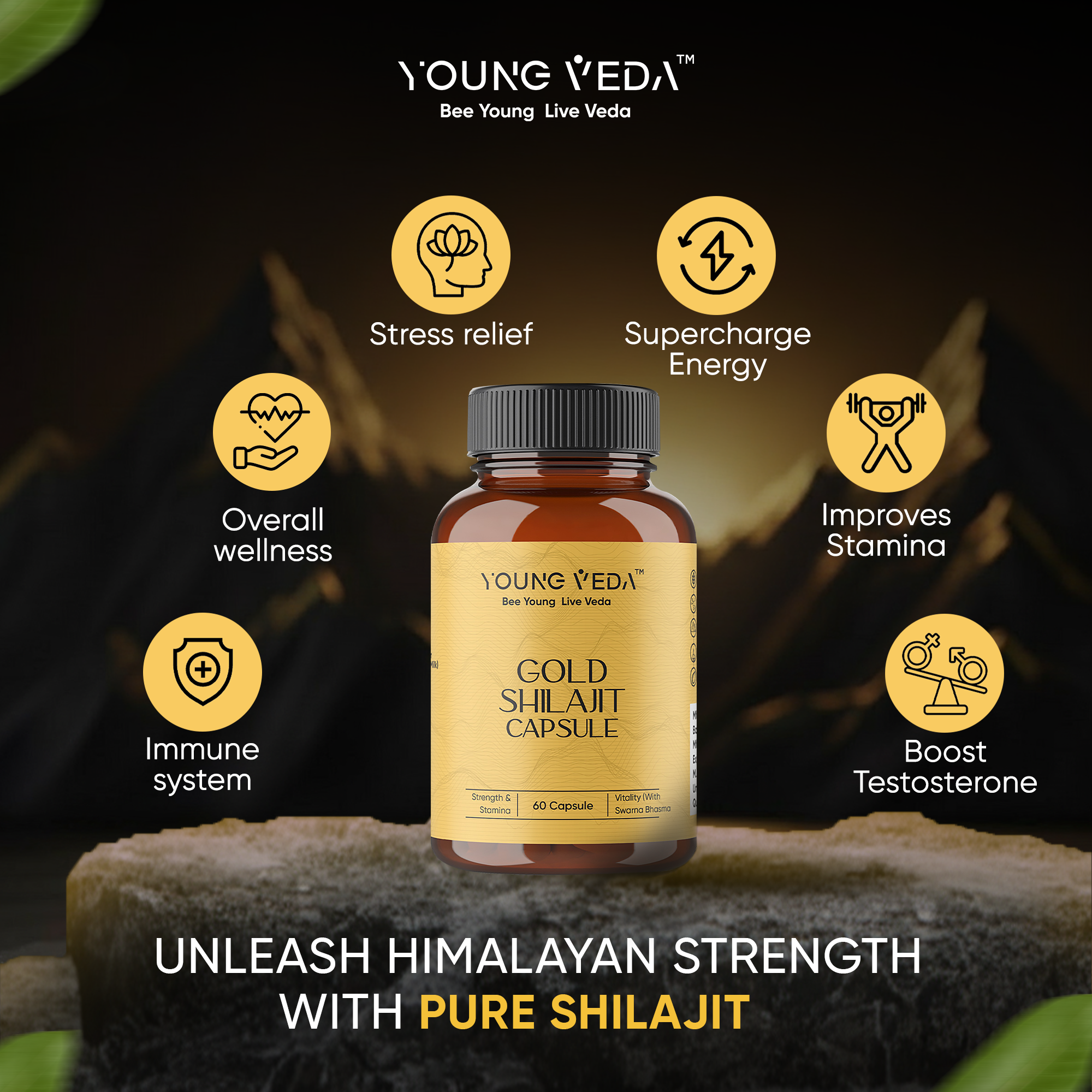 Gold Shilajit Capsules for Stamina & Endurance