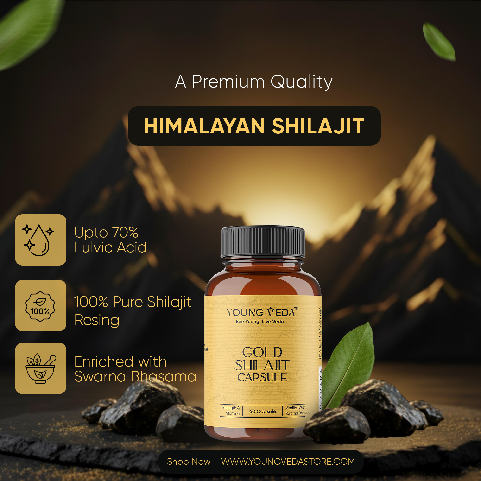 Gold Shilajit Capsules for Stamina & Endurance