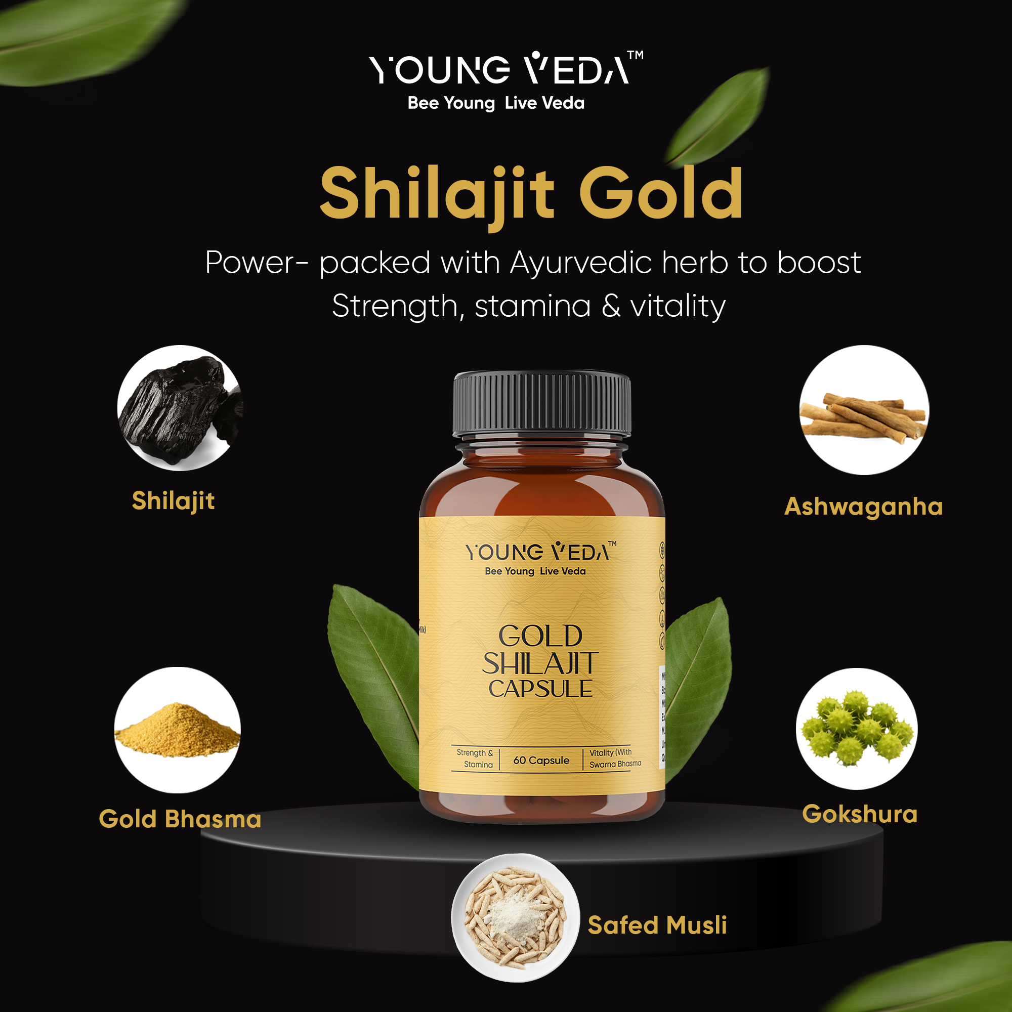 Gold Shilajit Capsules for Stamina & Endurance