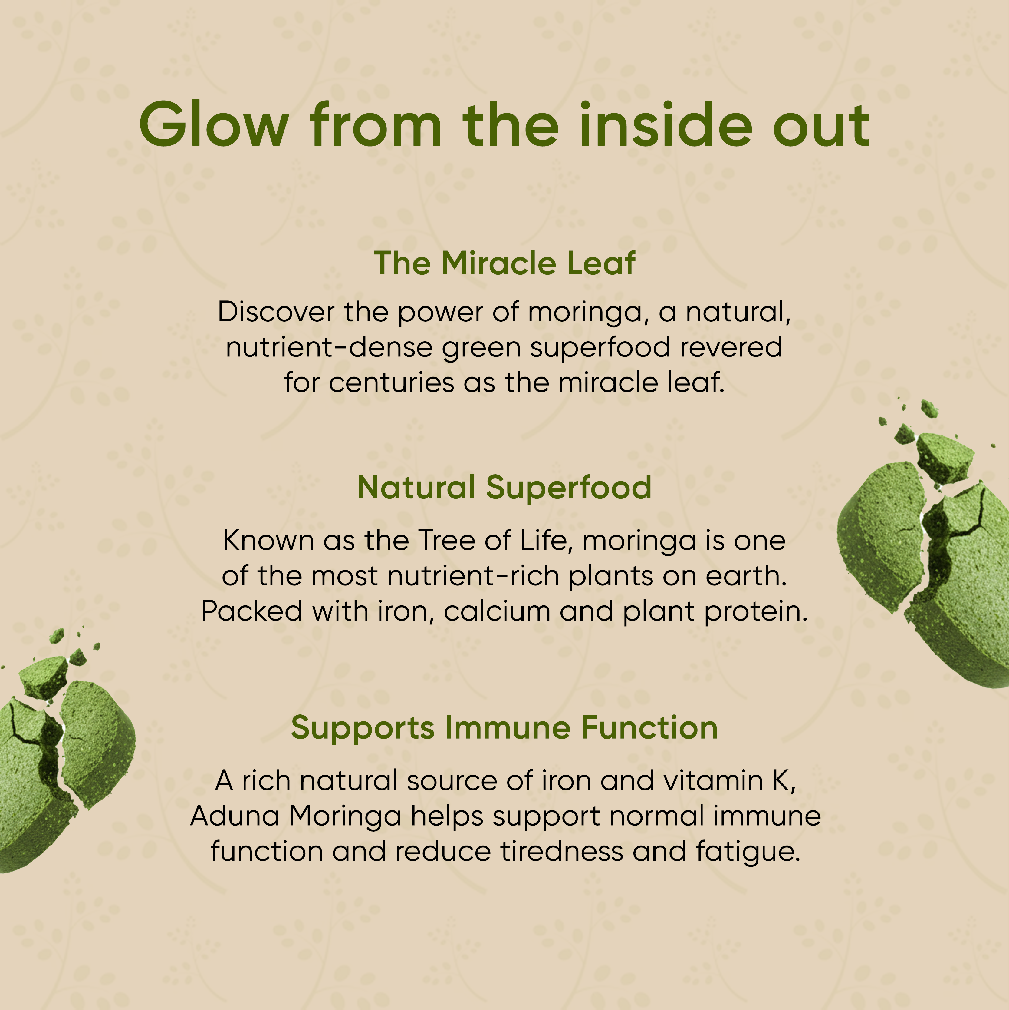 Moringa Tablet for daily nutrition