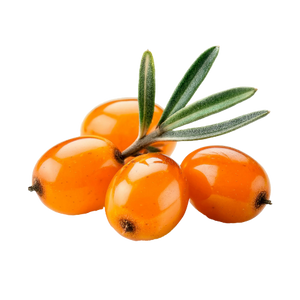 Ingredient 1