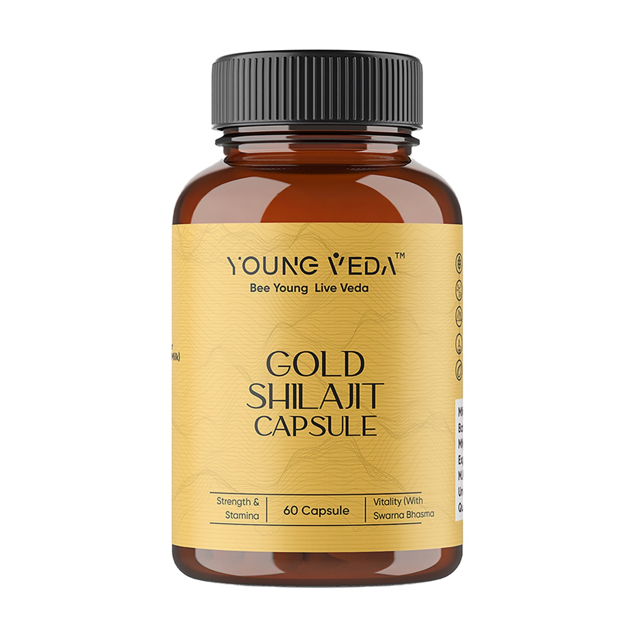 Gold Shilajit Capsules for Stamina & Endurance