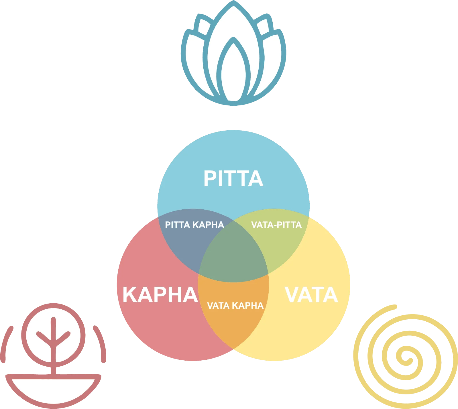 Dosha Diagram
