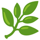 feature icon